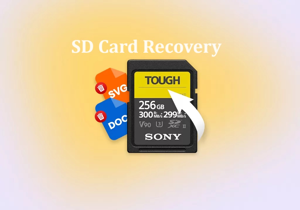 SD Card Recovery