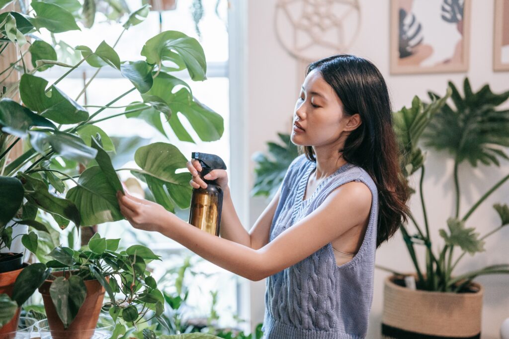 Indoor plants