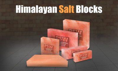 Advantages of Salt Blocks and the Best Animal Salt Licks