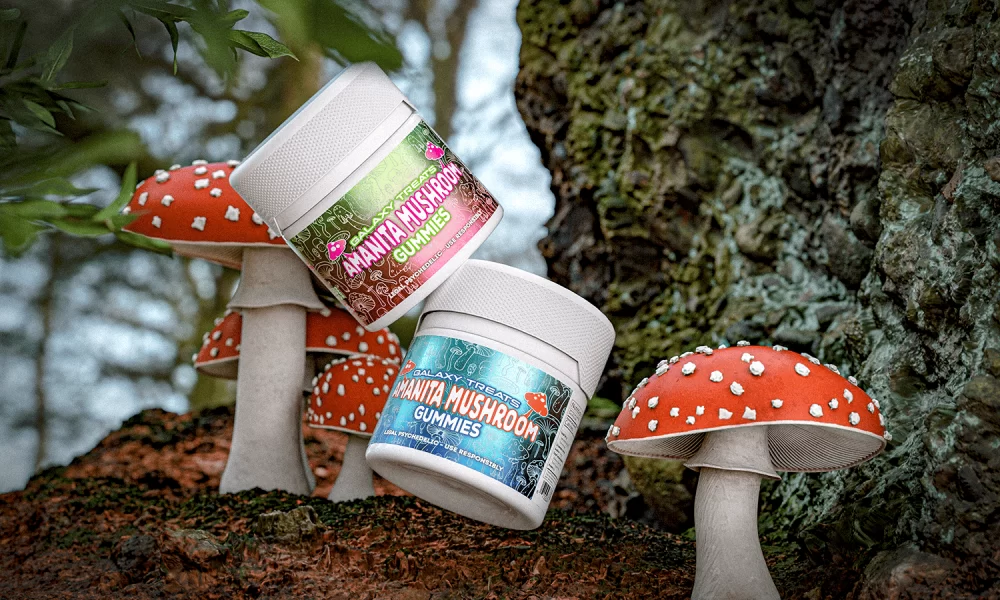 7 Things to know Before Buying Amanita Gummies Online