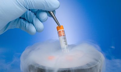 Embryo Freezing and Infertility Treatment