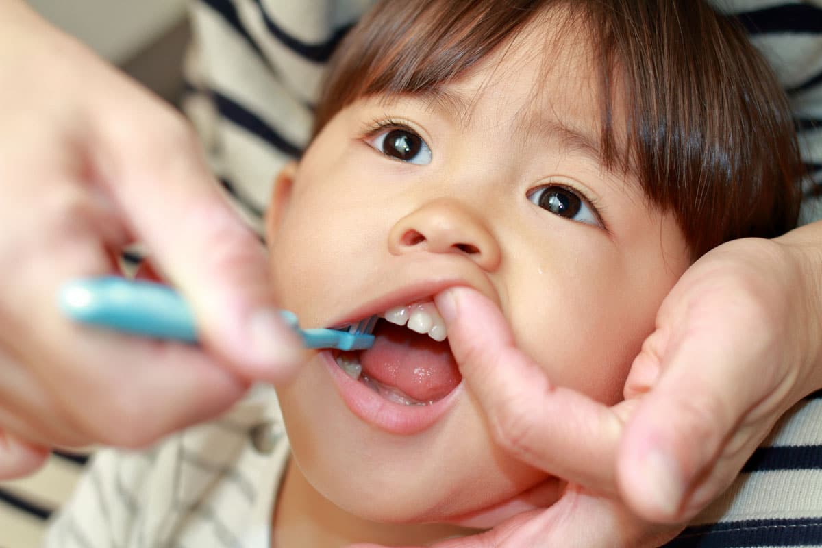 Baby Toothbrush