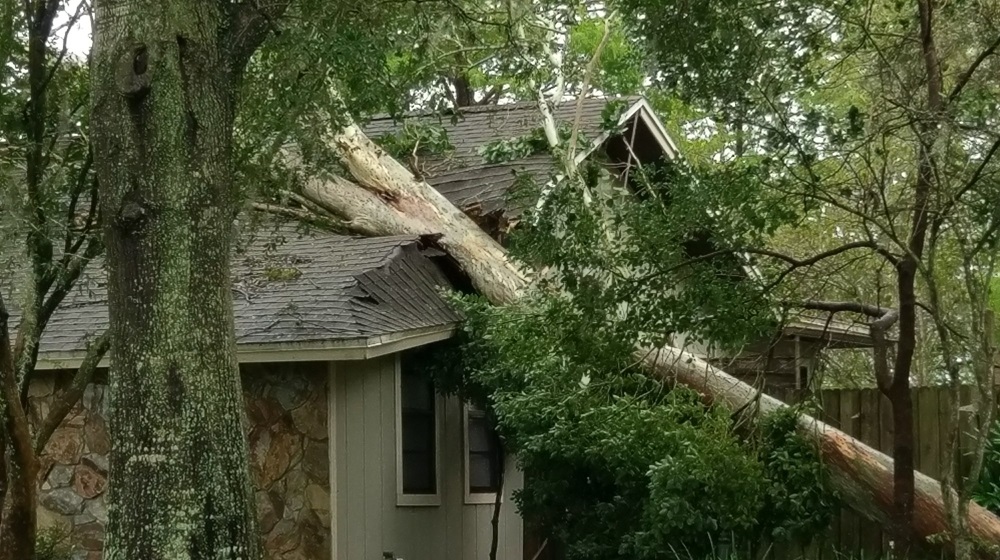 house damage