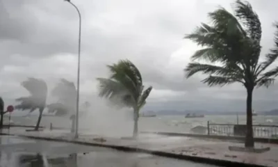 Thai Meteorological Department Warns of Developing Tropical System in South China Sea