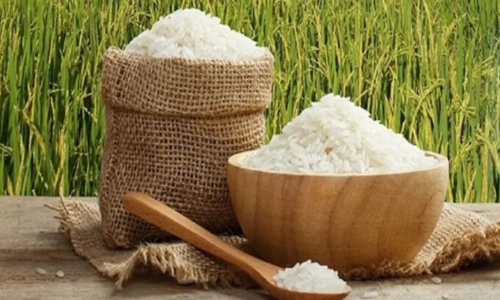 Thailand Secures Export of Over 130,000 Metric Tons of Rice to the Philippines Valued at 2.8 Billion Baht