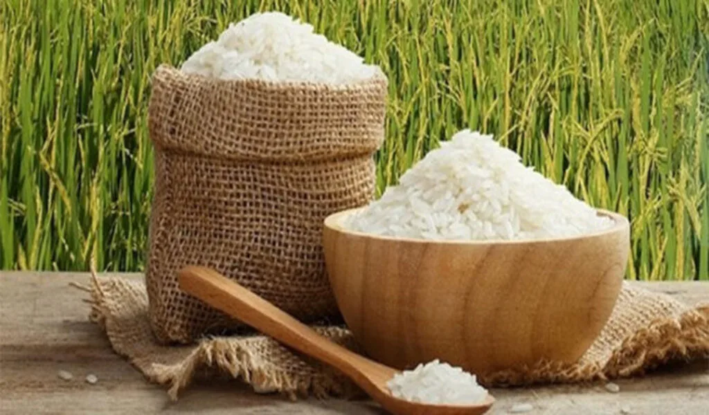 Thailand Secures Export of Over 130,000 Metric Tons of Rice to the Philippines Valued at 2.8 Billion Baht